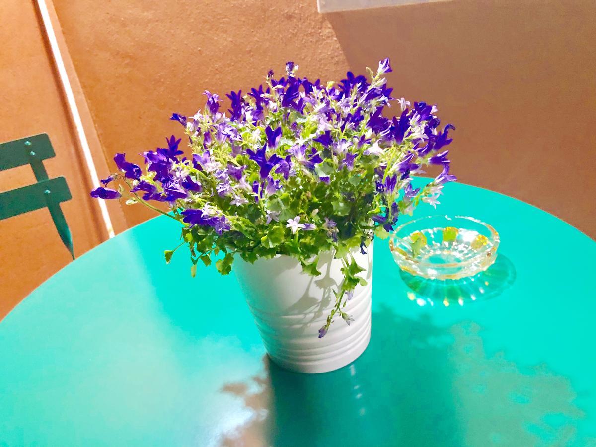 Chiaro Di Luna 马奥莱 外观 照片